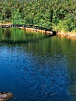 Aquasphere Pond Cleaners -Comfortable Garden 37425 001ed 1