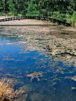 Aquasphere Pond Cleaners -Comfortable Garden 37425 002ed 1