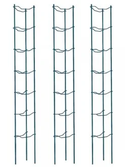 Tomato Ladders, Set Of 3 -Comfortable Garden 38184 002E psd