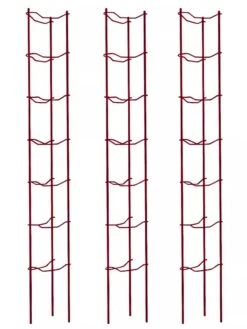 Tomato Ladders, Set Of 3 -Comfortable Garden 38185 002E psd