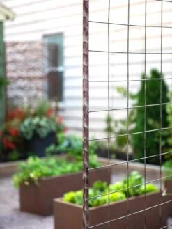 Jardin Rose Arch -Comfortable Garden 38690 9948 tif