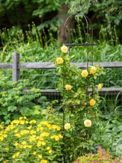 Jardin Round Obelisk, 7' -Comfortable Garden 39 530 1668 tif