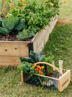 Garden Hods -Comfortable Garden 39 761 572 tif