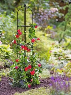 Essex Round Trellises 13 Essex Round Trellises -Comfortable Garden 39544 2267 tif