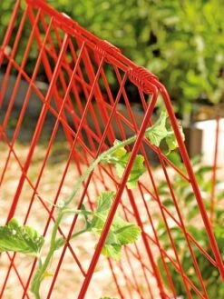 Deluxe Cucumber Trellis -Comfortable Garden 39806 542 tif