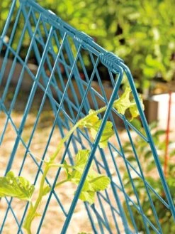 Deluxe Cucumber Trellis -Comfortable Garden 39806 BLUE 100 tif