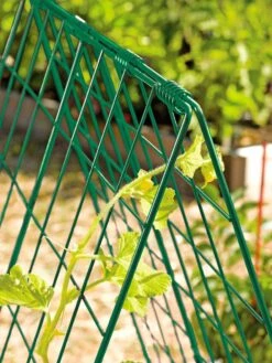 Deluxe Cucumber Trellis -Comfortable Garden 39806 GR edit tif