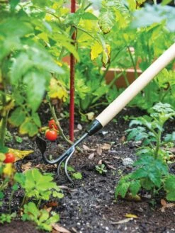 Gardener's Lifetime Long-Handled Double Tool -Comfortable Garden 3 4 crop 8592107 2460 tif