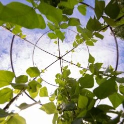 Jardin Tower -Comfortable Garden 3 4 crop 8612997 0033