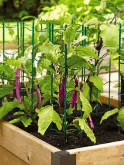 Pepper And Eggplant Stakes, Set Of 3 -Comfortable Garden 40308 2116 tif