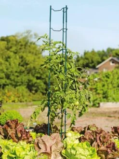 Stacking Tomato Ladders, Set Of 6 -Comfortable Garden 40309 100 tif