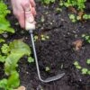 Gardener's Lifetime Cape Cod Weeder, Right-Handed -Comfortable Garden 8586974 2361 tif
