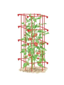 Tomato Cage, Single
