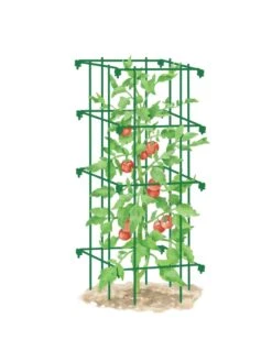 Tomato Cage, Single -Comfortable Garden 8587039 TomatoCage GRN tif