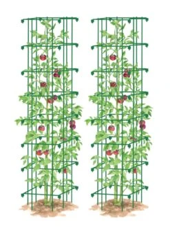 Tomato Towers, Set Of 2 -Comfortable Garden 8587041 0006 GRN tif