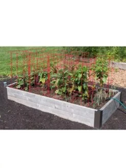 Pepper And Eggplant Cages, Set Of 3 -Comfortable Garden 8587048 6008 3 4