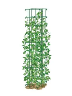 Bean Tower -Comfortable Garden 8587060 0008 GRN tif