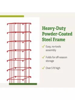 Bean Tower -Comfortable Garden 8587060 productdetails