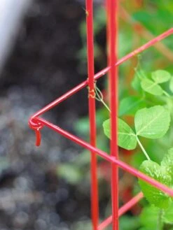 Tall Expandable Pea Trellis -Comfortable Garden 8587061 010 tif