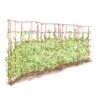 Expandable Pea Trellis 1 Expandable Pea Trellis -Comfortable Garden 8587061 PeaFence Red 001E tif