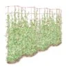 Tall Expandable Pea Trellis 1 Tall Expandable Pea Trellis -Comfortable Garden 8587062 0001 RED tall expandable pea trelis tif