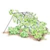 Large Cucumber Trellis -Comfortable Garden 8587082 CukeTrellis L Blk 001E tif
