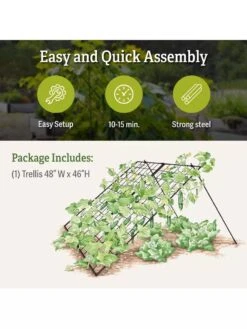 Large Cucumber Trellis -Comfortable Garden 8587082 product details