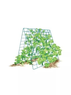 Deluxe Cucumber Trellis -Comfortable Garden 8587083 001 BLUE Cukes two sided deluxe cucumber trellis support storm blue 3 4