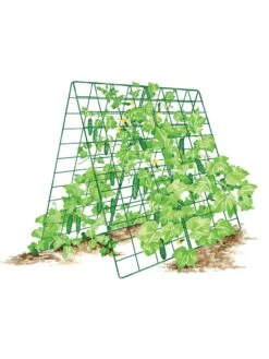Deluxe Cucumber Trellis -Comfortable Garden 8587083 001 GRN tif