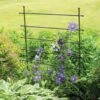 Jardin Ladder Trellis -Comfortable Garden 8587107 1651 tif