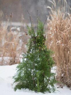 Jardin Pot Trellis -Comfortable Garden 8587120 009 tif