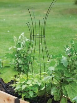 Jardin Pot Trellis -Comfortable Garden 8587120 7037 tif
