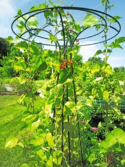 Essex Tuteur, 78" -Comfortable Garden 8587861 100 tif