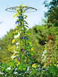 Essex Tuteur, 78" -Comfortable Garden 8587861 5028 tif