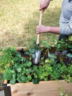 Gardener's Lifetime Raised Bed Trowel -Comfortable Garden 8588014 4084 tif