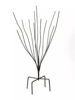 Bottle Bush -Comfortable Garden 8588047 0697