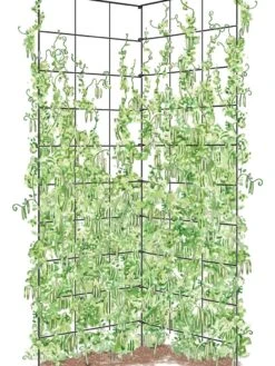 Two Panel Folding Trellis -Comfortable Garden 8589053 002Z tif