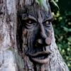 Friendly Ent Tree Face -Comfortable Garden 8589841 001v