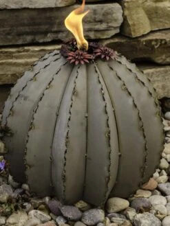 Desert Steel Golden Barrel Cactus Torches -Comfortable Garden 8591454 01V tif
