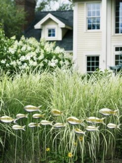 Fish Out Of Water Garden Stakes, Set Of 5 -Comfortable Garden 8593672 9124 tif