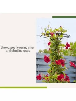 Essex Tuteur, 63" -Comfortable Garden 8594162 4