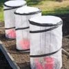 Tomato TLC Kits, Set Of 3 -Comfortable Garden 8594214 0183 tif