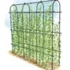 Titan Pea Tunnel -Comfortable Garden 8596275 0002 1 tif