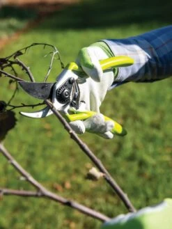 Gardener's Pro Pruner #2 9 Gardener's Pro Pruner #2 -Comfortable Garden 8596605 032 tif