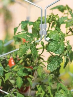 Gardener's Vertex Lifetime Tomato Cage -Comfortable Garden 8598426 0011 tif