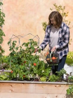 Gardener's Vertex Lifetime Tomato Cage -Comfortable Garden 8598426 0026 tif