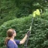 Sun Joe® Electric Telescoping Pole Hedge Trimmer, 4 Amp -Comfortable Garden 8599169 01v sun joe electric telescoping pole hedge trimmer