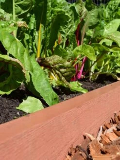 Straight Landscape Edging Kit With 2" Boards 8 Straight Landscape Edging Kit With 2" Boards -Comfortable Garden 8599408 02V tif