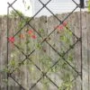 Achla Designs Freestanding Lattice Trellis -Comfortable Garden 8599475 01V tif