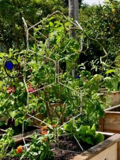 Gardener's Vertex Lifetime Pepper And Eggplant Cage -Comfortable Garden 8599554 01CUST tif